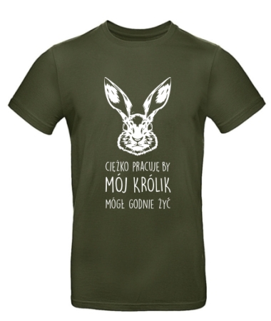 Królik