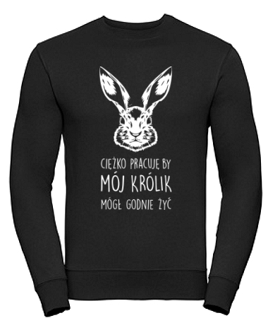 Królik